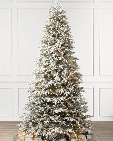 BH Frosted Fraser Fir Narrow-1